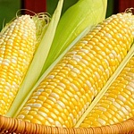 Кукуруза